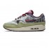 CONCEPTS X NIKE AIR MAX 1 SP 'MELLOW' 2022 DN1803-300