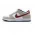 Nike SB Dunk Pro Crimson 304292-161