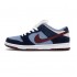 FTC X DUNK LOW PREMIUM SB 'FINALLY' 313170-463