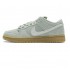 Nike SB Dunk Low Pro Horizon Green BQ6817-300