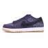 Nike Dunk Low N7 DN1441-500