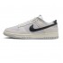 NIKE DUNK LOW 'CERTIFIED FRESH' 2022 DO9776-001