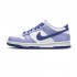 NIKE DUNK LOW GS 'BLUEBERRY' 2022 DZ4456-100