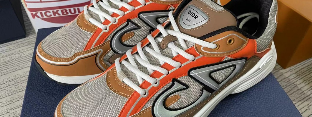 DIOR sneaker kickbulk luxury brand shoes custom made retial wholesale reviews