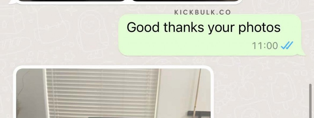 Customer reviews of Kickbulk Sneaker,worldwide free shipping