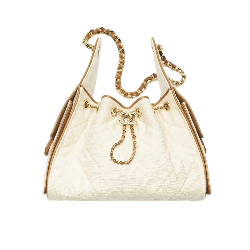 Chanel 25 Small Handbag1 - kickbulk.co
