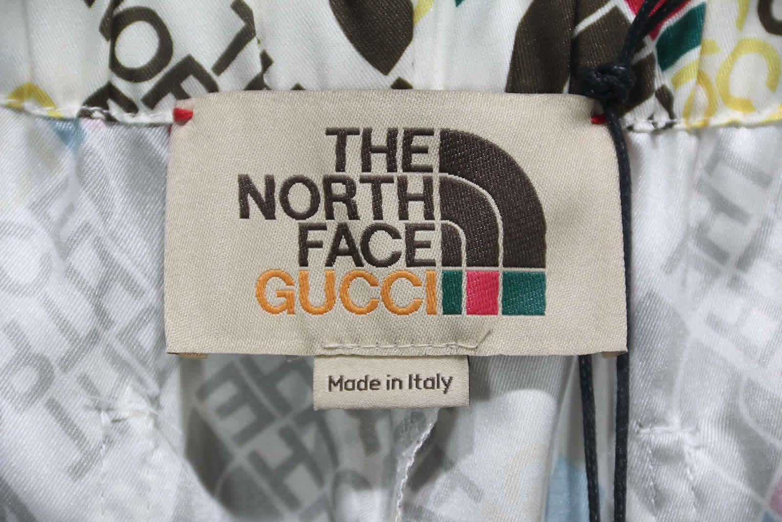 Gucci The North Face Silk Shorts 13 - kickbulk.co