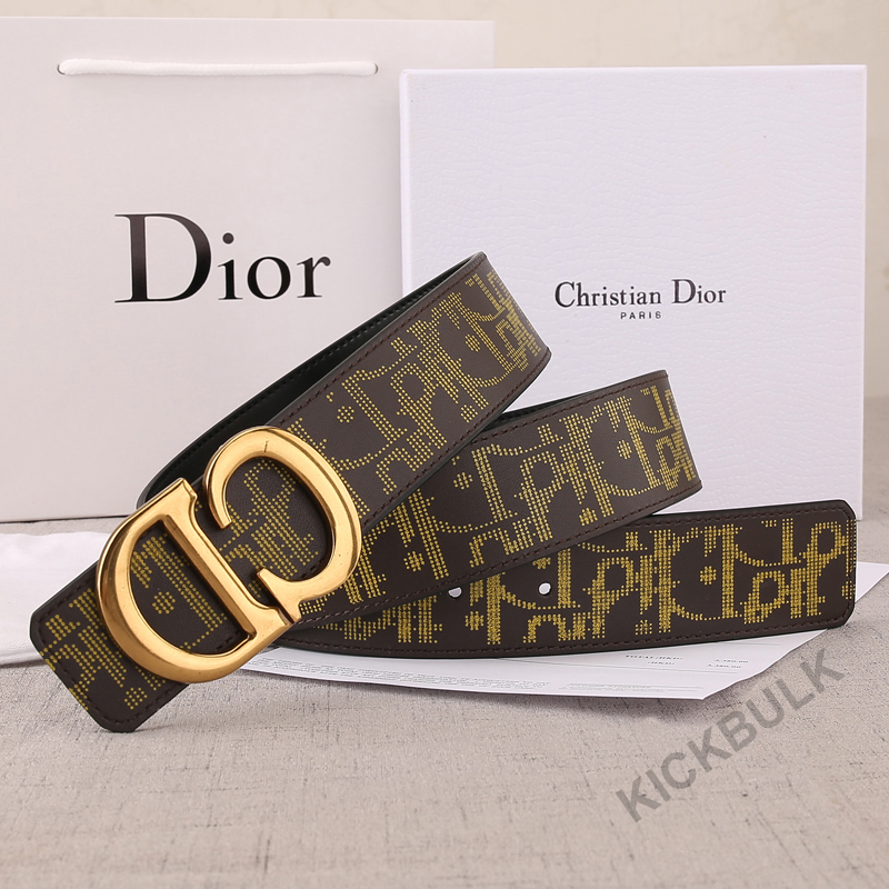 Dior Belt 18 - kickbulk.co