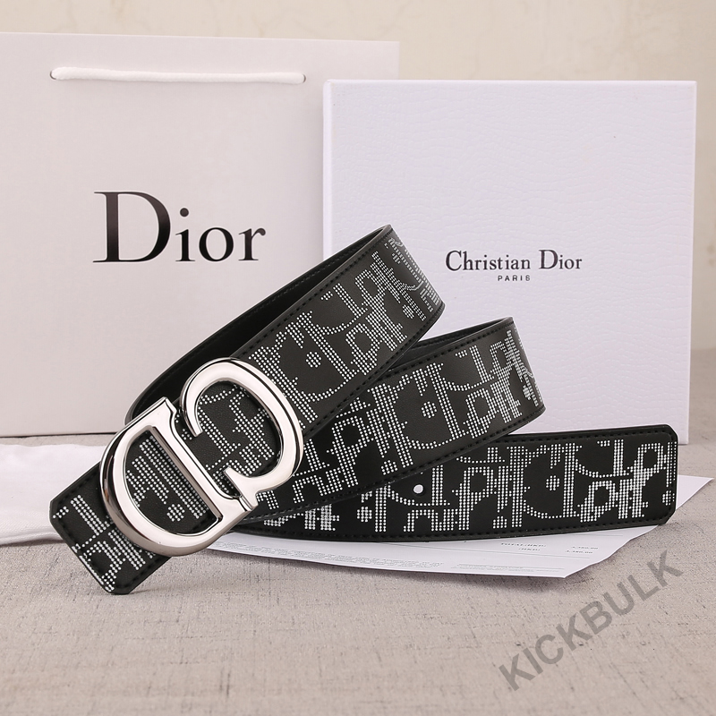 Dior Belt 9 - kickbulk.co