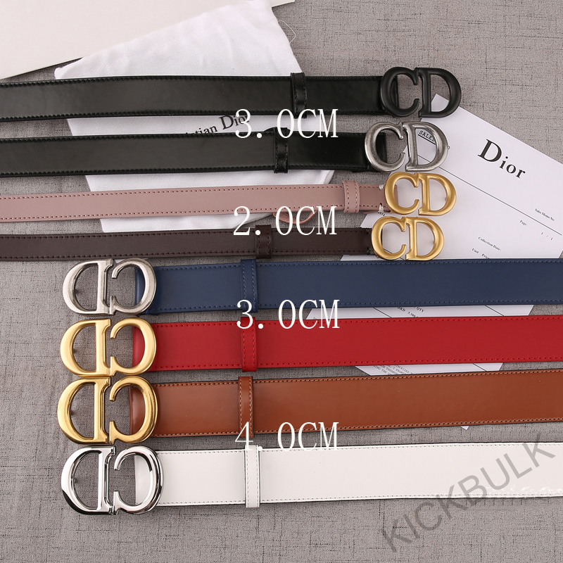 Dior Belt Kickbulk 3 - kickbulk.co