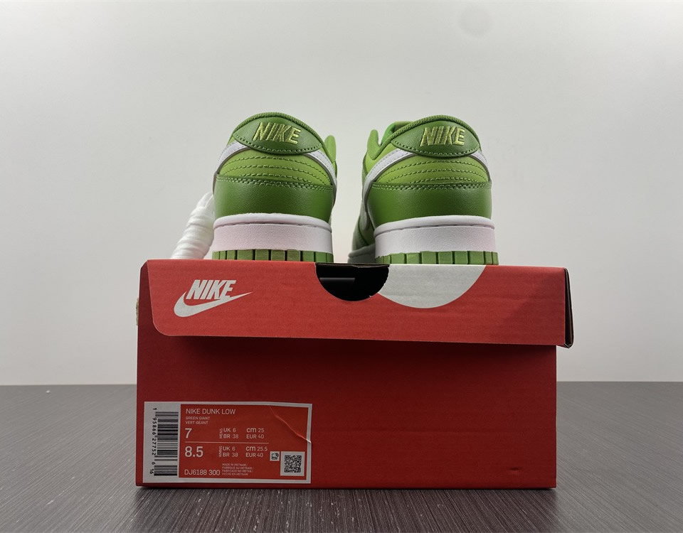 Nike Dunk Low Retro Chlorophyll Dj6188 300 14 - kickbulk.co