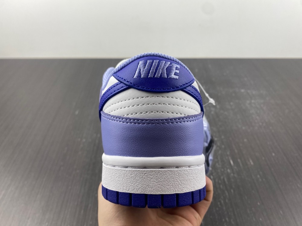 Nike Dunk Low Gs Blueberry Dz4456 100 20 - kickbulk.co