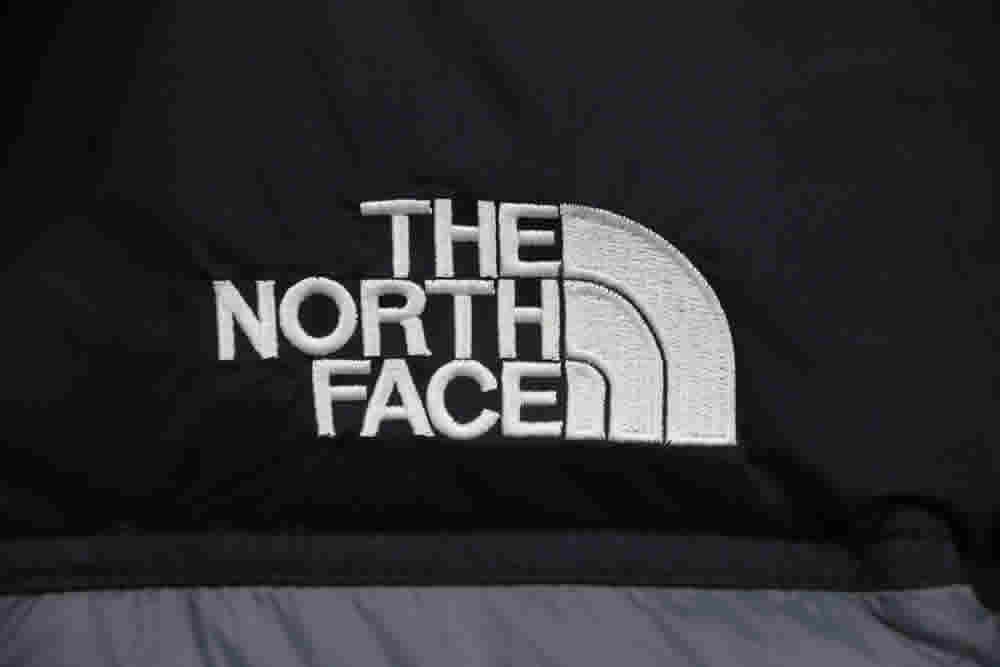 Invincible The North Face Down Jacket 15 - kickbulk.co