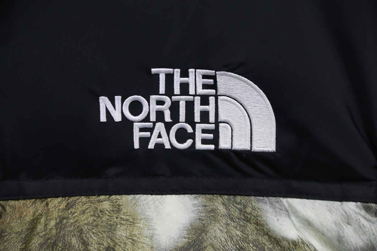 Supreme The North Face Horse Hair Down Jacket 16 - kickbulk.co